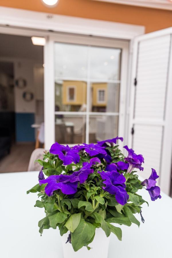 Apartment Orlando Tenerife Sur Pluto 아데제 외부 사진